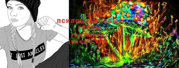первитин Белокуриха
